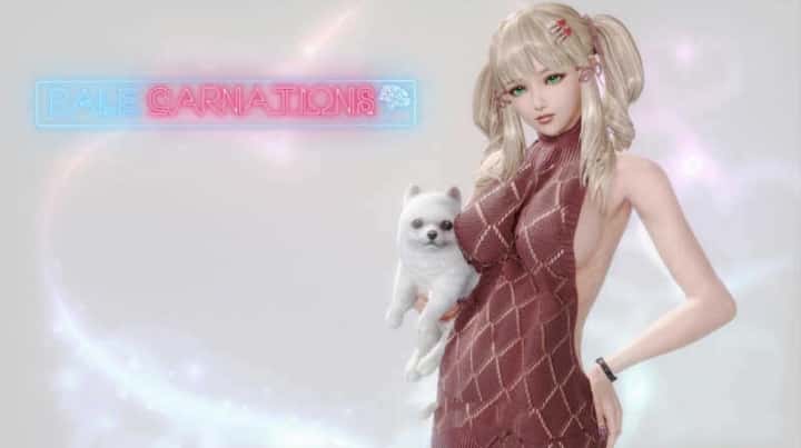 康乃馨俱乐部背景